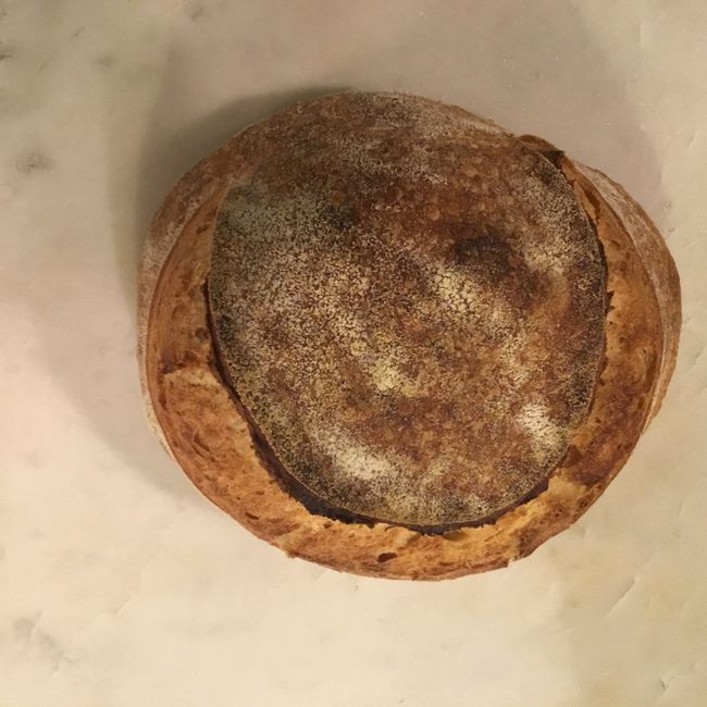 Dagens Levain
