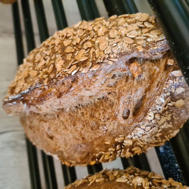 Valnötter Filone