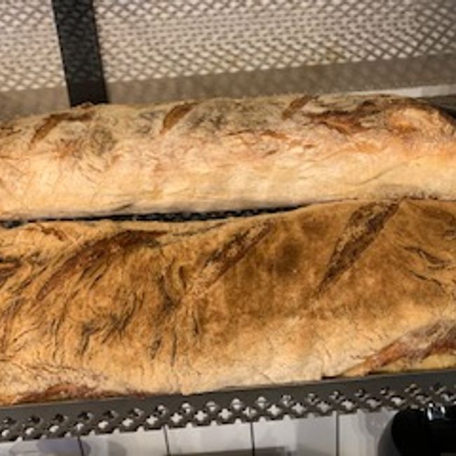 Gårdagens levain