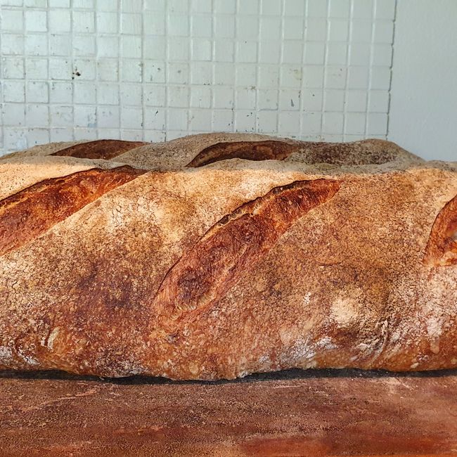 Levain hel