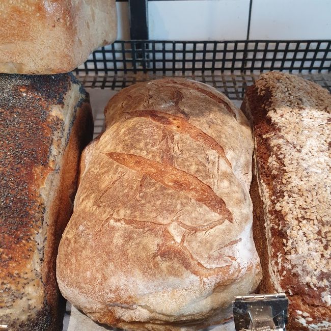 Mini Levain