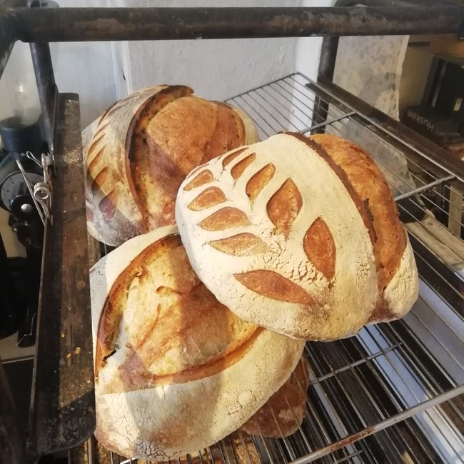 Levain.