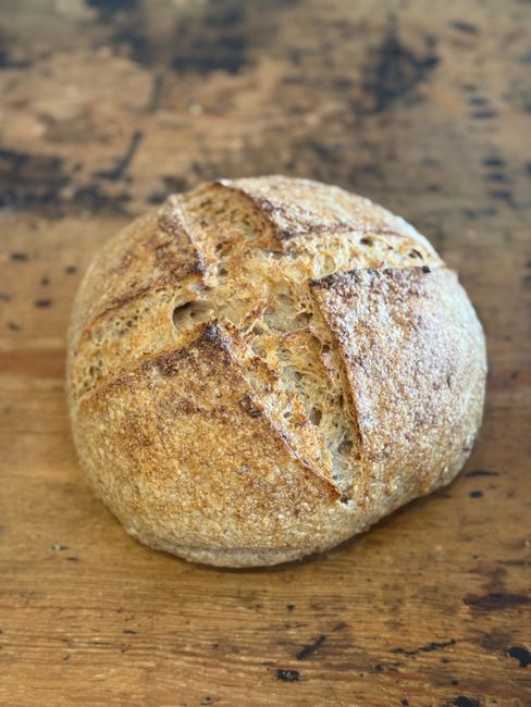 Gårdagens Rågbröd 640g (surdeg)