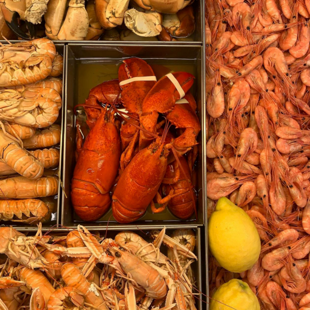 Båstad Seafood AB
