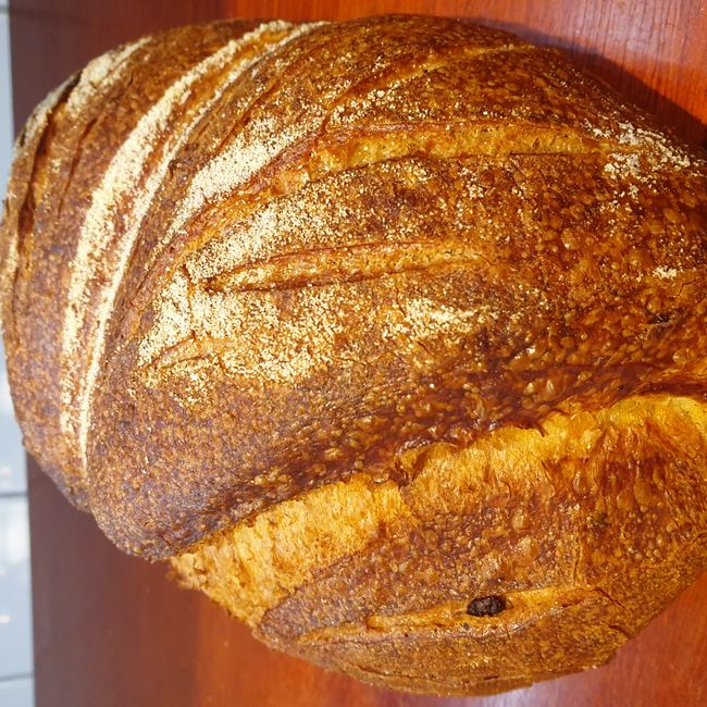 Bröd med västerbottensost och soltorkad tomat (Gårdagens)