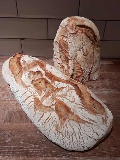 Gårdagens levain