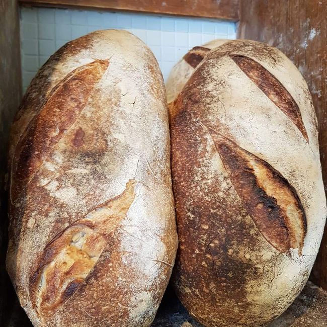 Liten levain
