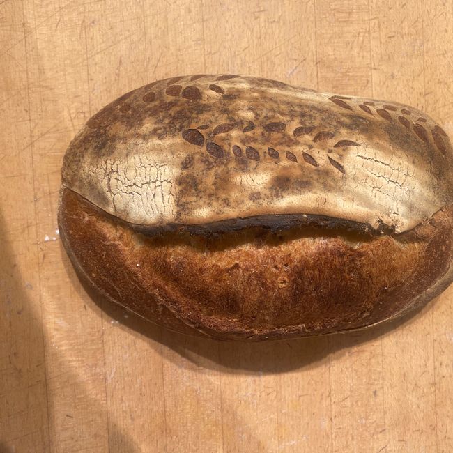 Surdegsbröd